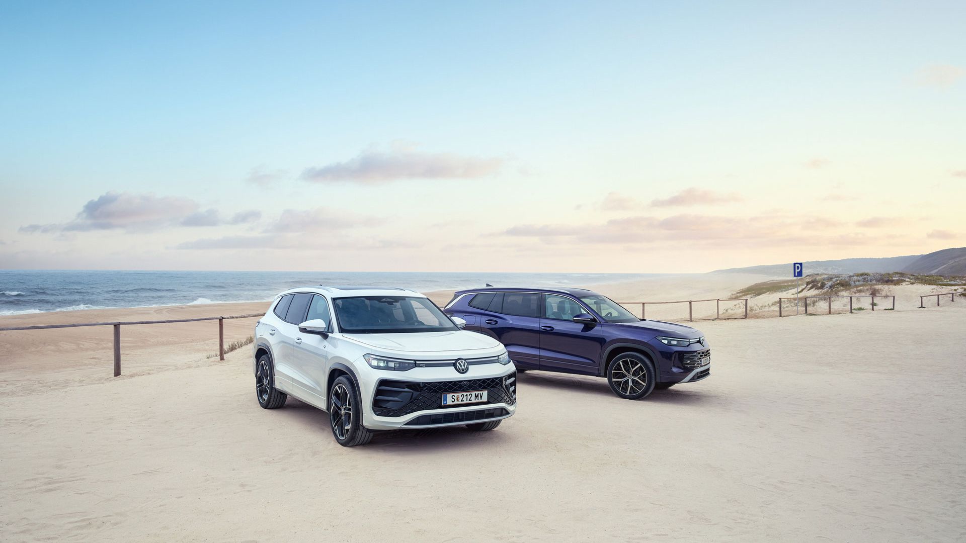 Zwei Tayron stehen am Strand